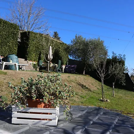 Latte & Miele Hause * Lucca