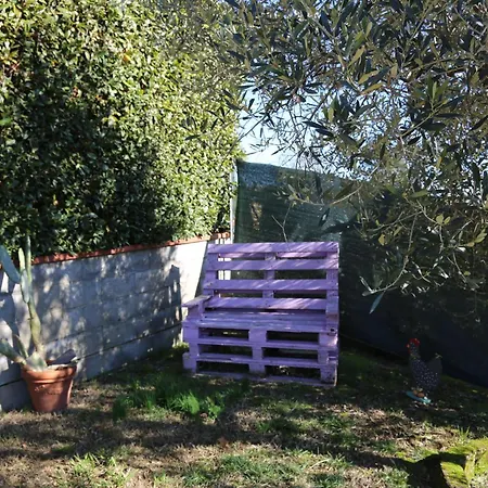 Latte & Miele Hause * Lucca
